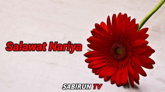 Solatun Noriya 4444- Eshitib yodlash uchun tavsiya (100 martta aytilgan) смотреть онлайн