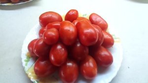 ТОМАТ САХАРНЫЕ ПАЛЬЧИКИ. Ольга Чернова.