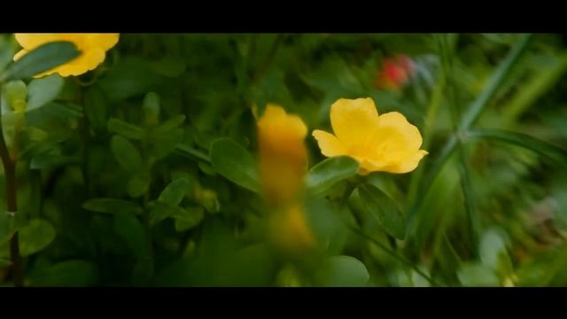Nikon D3300 Camera Test