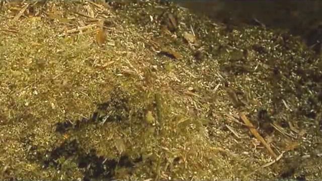 Самодельный измельчитель садовых отходов смотреть онлайн