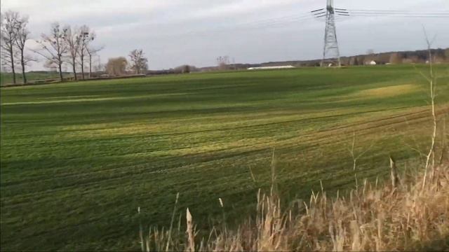 Зустріли стаю диких оленів,польща смотреть онлайн