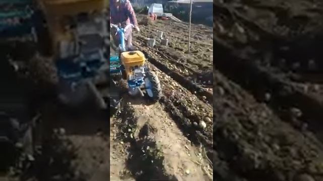 Картофелекопалка ККМ-1 для мотоблока. смотреть онлайн