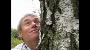 Александр Дюмин "Белая береза"