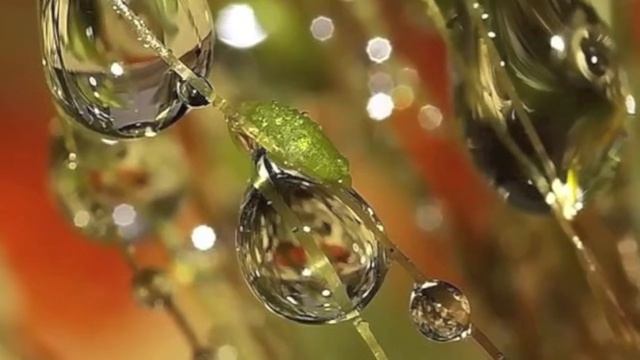 Фрактальные картинки смотреть онлайн