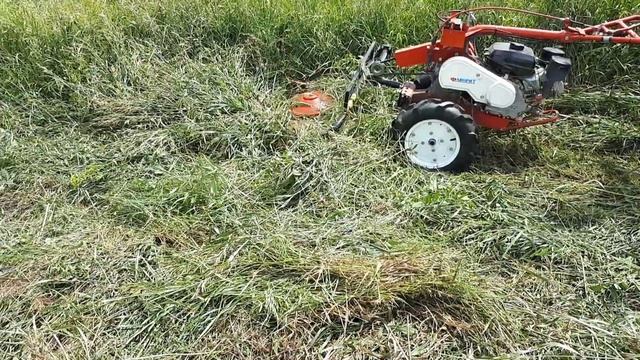 Сенокос мотоблоком 2020 или На что способен мотоблок ЗиД Фаворит смотреть онлайн