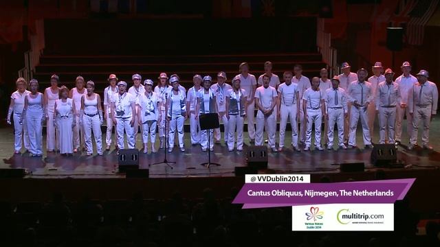 Cantus Obliquus - Various Voices 2014 смотреть онлайн
