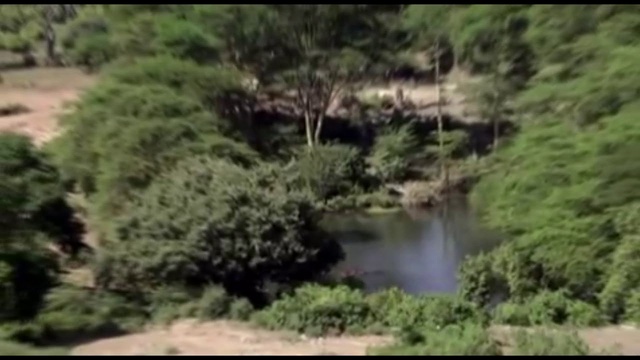 Волшебная музыка смотреть онлайн