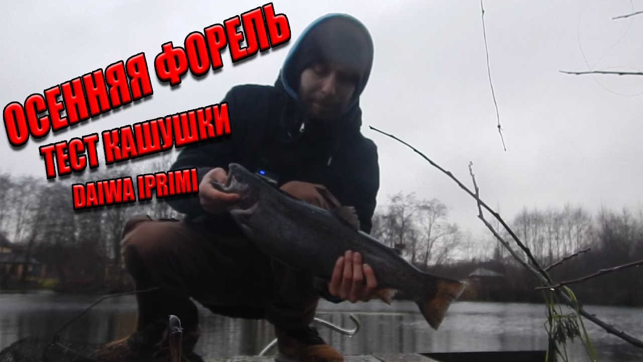 Осенняя Форель На Платнике На Спиннинг /Тест Катушки Daiwa 19 Iprimi LT 1000 S-P смотреть онлайн