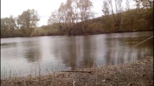 Ловля  окуня на отводной с использованием тирольской палочки