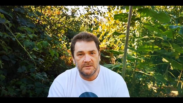 Моя павловния. Ответы на вопросы. смотреть онлайн