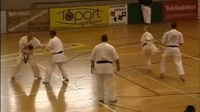 Kyokushin Seibukai danvizsga Tapolca 2011 9.avi смотреть онлайн