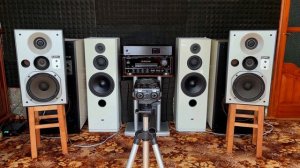 КТО ЗВУЧИТ ЛУЧШЕ!? СРАВНЕНИЕ 10" ПОЛОЧНОЙ И НАПОЛЬНОЙ АКУСТИКИ! Vifa / Technics / Sony