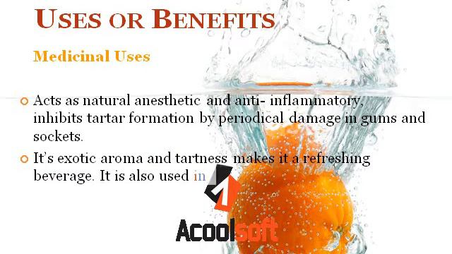 Calamondin Baron A смотреть онлайн