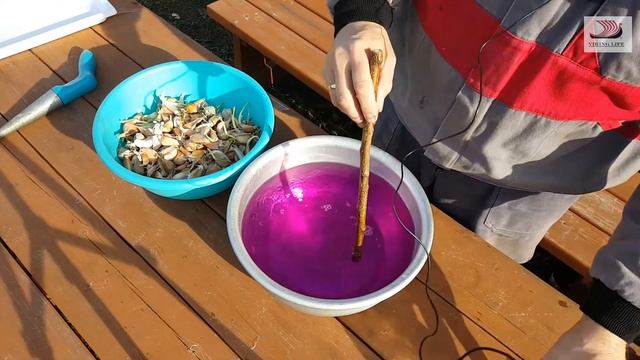 #308 Посадка чеснока в декабре/Краснодарский край/переезд на Кубань/жизнь в деревне. смотреть онлайн