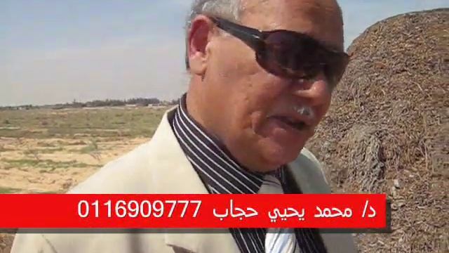 السماد البلدي.wmv смотреть онлайн