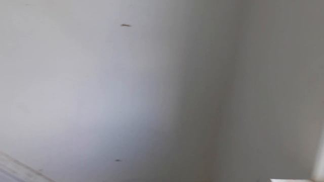 I Bought Another House | New Deal Upstate NY - 1st Look! смотреть онлайн