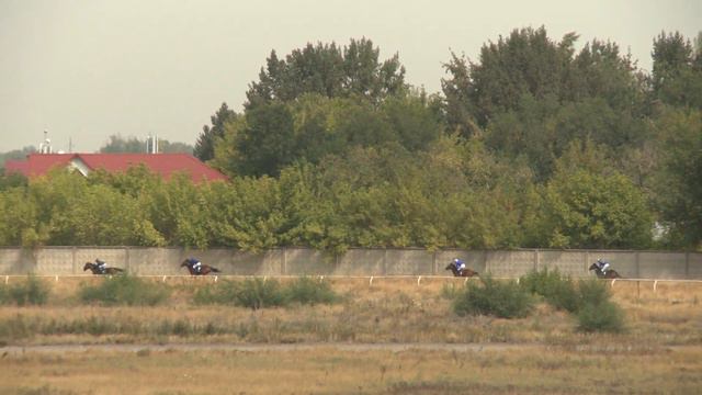 Скачка № 4 18 09 21 04 смотреть онлайн