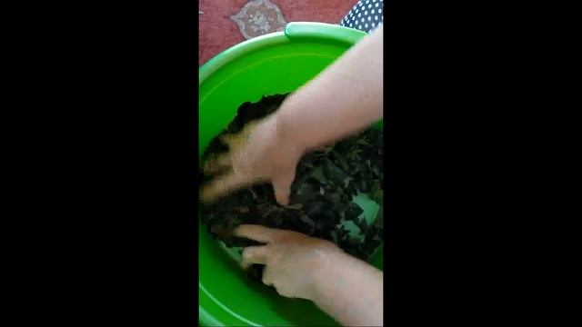 Чистота в каждом движении