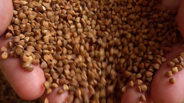 Asi LIMPIA INTESTINOS de HECES y GASES (pedos) DE FORMA NATURAL 💩 смотреть онлайн
