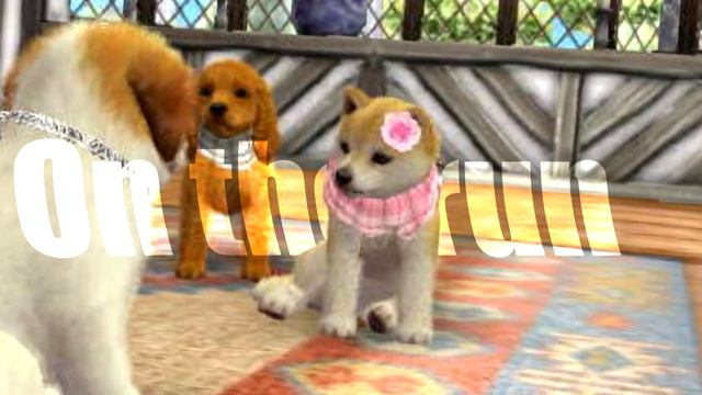 Dusk until dawn edit || Tohru смотреть онлайн