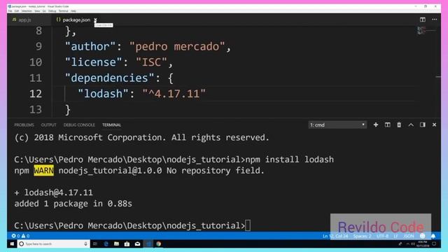 Installing packages using npm | #revildo_code смотреть онлайн