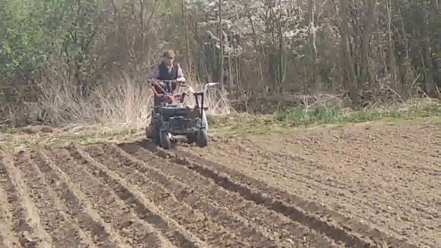 Нарезаем борозды для укладки картофеля сидя на мотоблоке смотреть онлайн