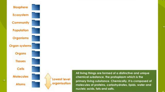 Levels Of Organisations Hierarchy смотреть онлайн