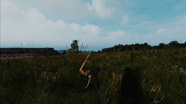 How I Met Bobby the Dog in DAYZ and Our Unforgettable Adventures Together смотреть онлайн