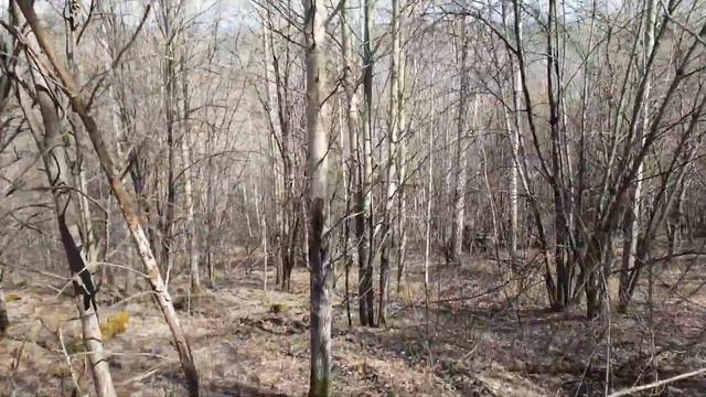 От Кыштыма до озера Аракуль 25.04.2020 г. смотреть онлайн