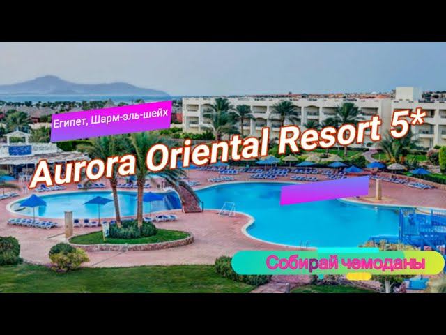 Отзыв об отеле Aurora Oriental Resort 5* (Египет, Шарм-эль-шейх) смотреть онлайн