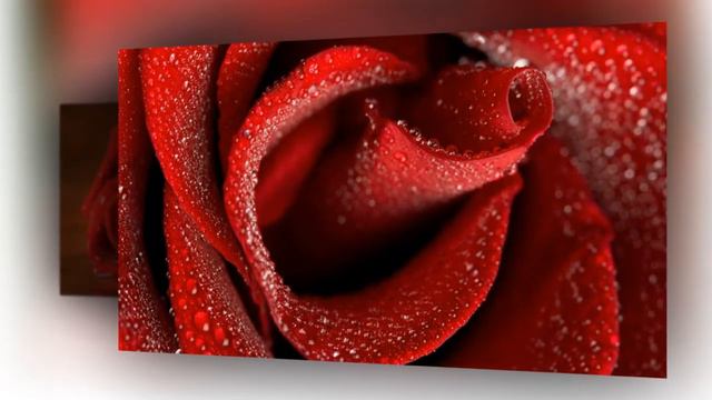 Эрнесто КОРТАЗАР ТОЛЬКО для ВАС ЛУЧШЕЕ смотреть онлайн