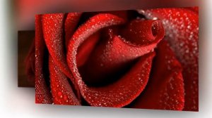 Эрнесто КОРТАЗАР ТОЛЬКО для ВАС ЛУЧШЕЕ