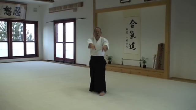 Shirakawa shihan demonstrated torifune no gyo смотреть онлайн