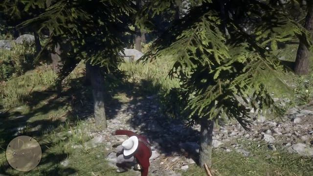 !!!Самые интересные места в rdr 2 (часть 2)!!! смотреть онлайн