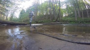 Река Красная. Ловля форели и хариуса. Brown Trout fishing on Rominta river.