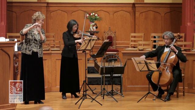 Haydn:  London Trio No. 1  / Finale: Vivace _ For Flute, Violin And Cello