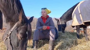 Содержание коня стоимость в год / Содержание лошади / Сколько стоит содержать лошадь