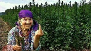 Александр Марцинкевич - Горит косяк