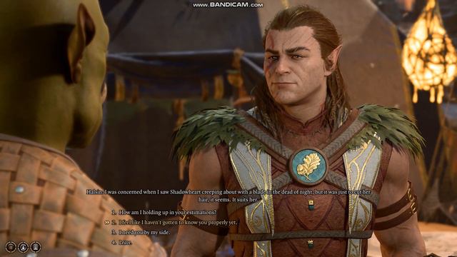 Baldur's Gate 3: Halsin and Minthara comment on Shadowheart dyeing her hair смотреть онлайн