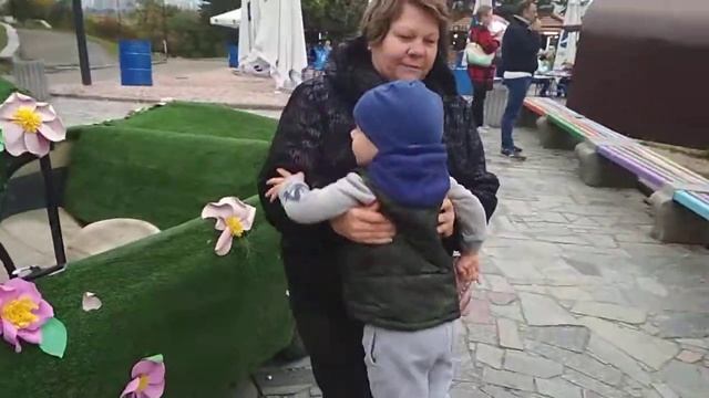 Выставка хризантем смотреть онлайн