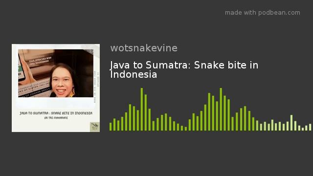 Java to Sumatra: Snake bite in Indonesia смотреть онлайн