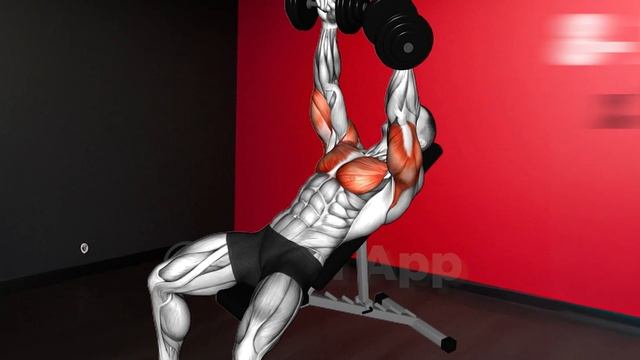 Chest & Triceps Dumbbell Workout: Day 1/4 Split ??