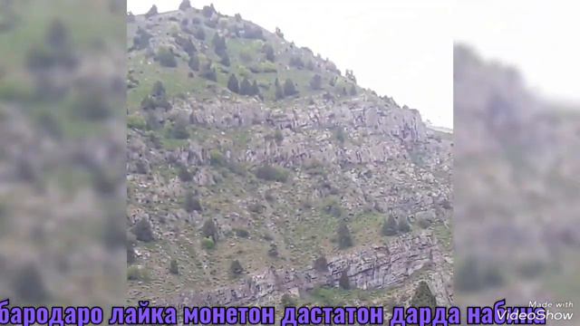 кули.чувозак.👍👍 смотреть онлайн