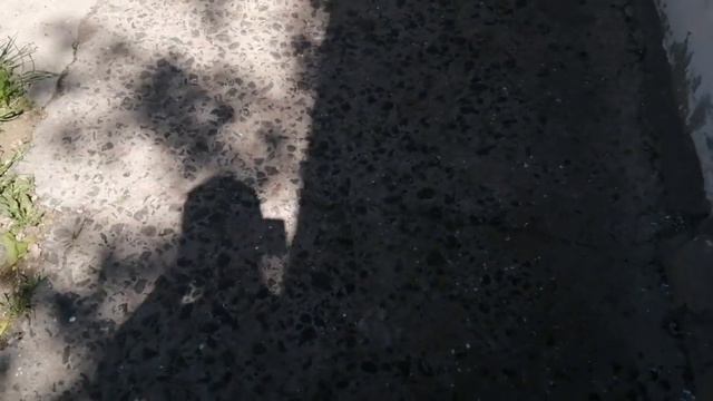 Николаев 16 мая 2022г. вечер смотреть онлайн