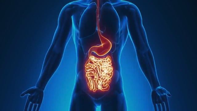 FITLINE ОПТИМАЛЬНЫЙ СЕТ ВИТАМИНЫ ПРЕМИУМ КЛАССА ИЗ ГЕРМАНИИ смотреть онлайн