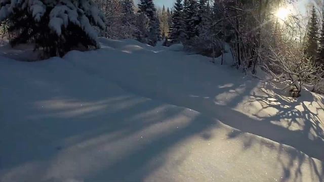 Фотопоход. Тайга -30°С смотреть онлайн