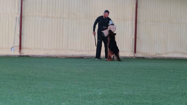 MVI_0643.MP4 смотреть онлайн
