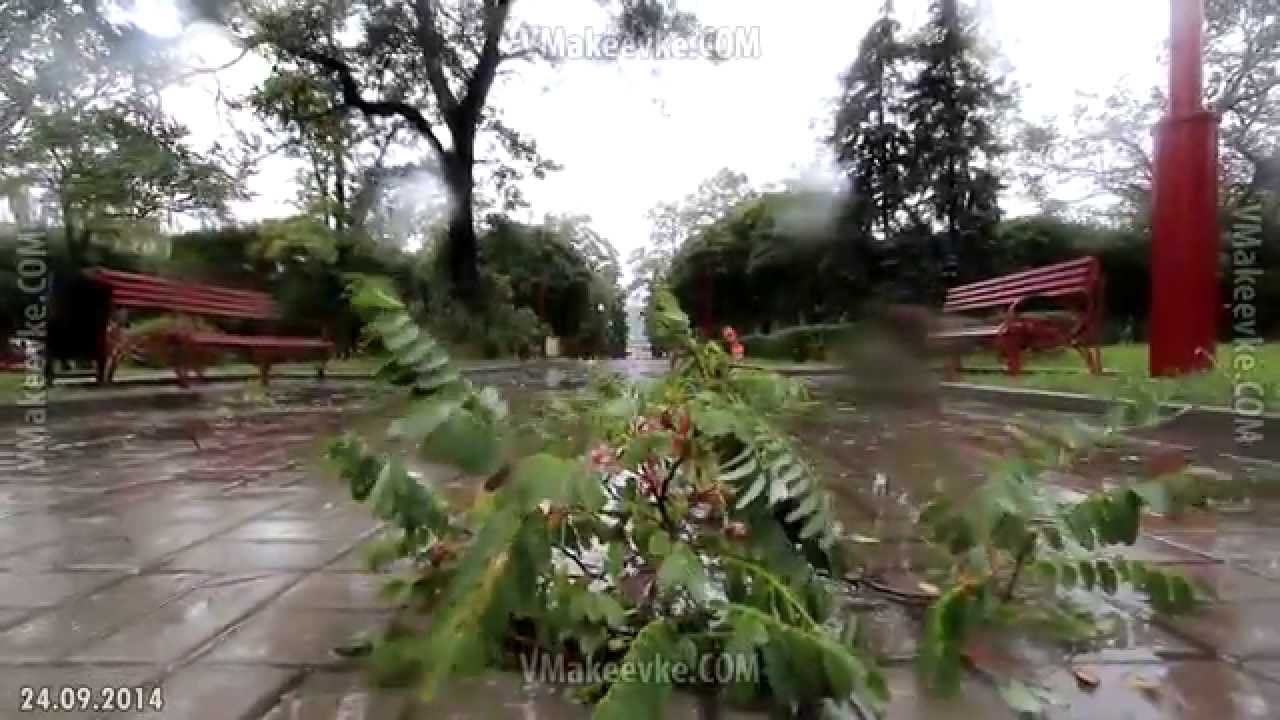 Макеевка. В Макеевку пришла осень, пришла вместе с дождем и ветром. Сайт Макеевки смотреть онлайн