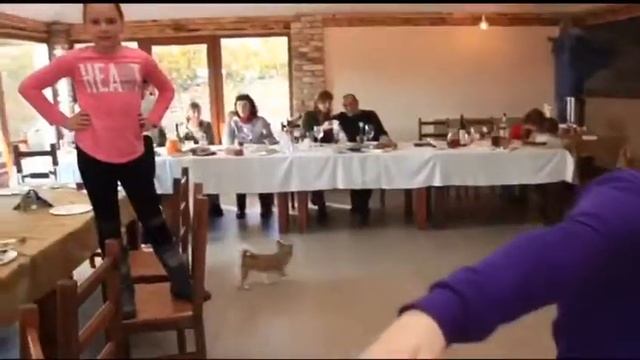 Лучший День!!!/День рождения ребёнка!/Интересные конкурсы! смотреть онлайн