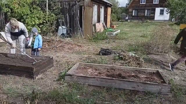 Собрали морковь/ начальная точка к новой электрике в доме/ готовим участок к зиме #купилидом #дача смотреть онлайн
